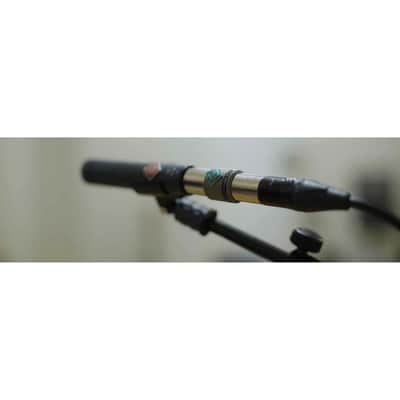 TritonAudio FetHead Phantom Power Preamp for Condenser Microphone image 4