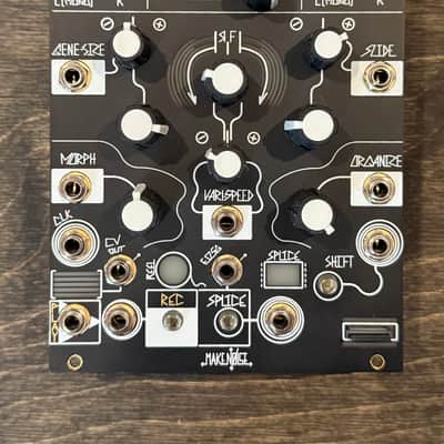 Make Noise Morphagene Module | Reverb