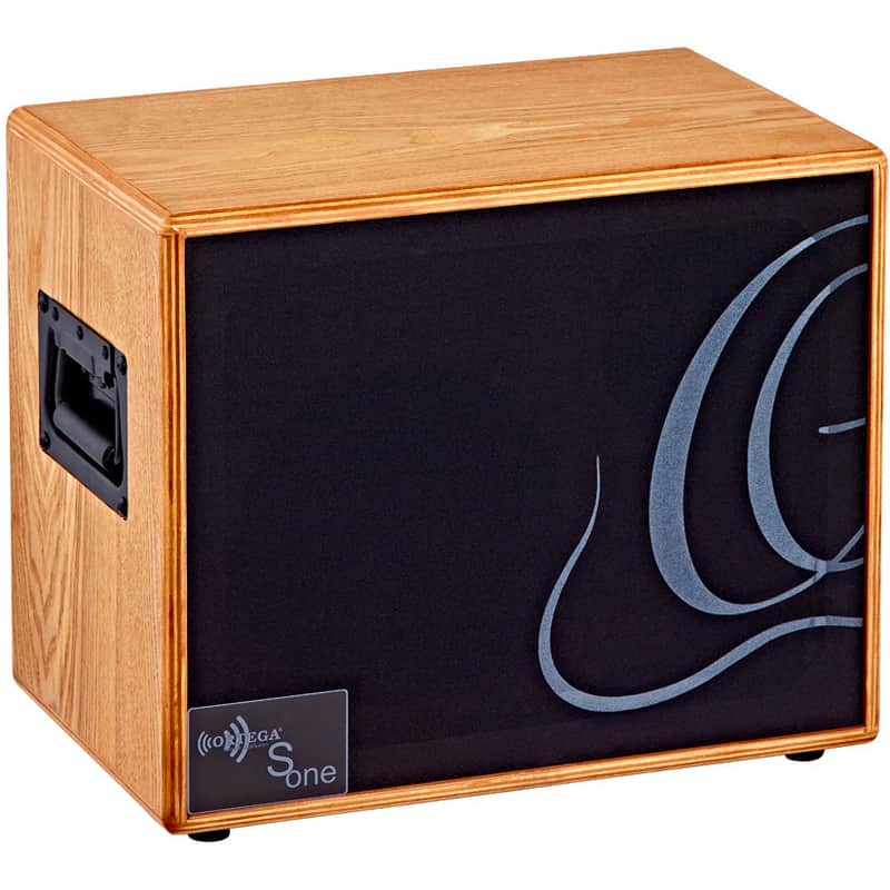 Ortega Ortega S-One 150-Watt 1x6.5" Acoustic Guitar Cabinet image 1