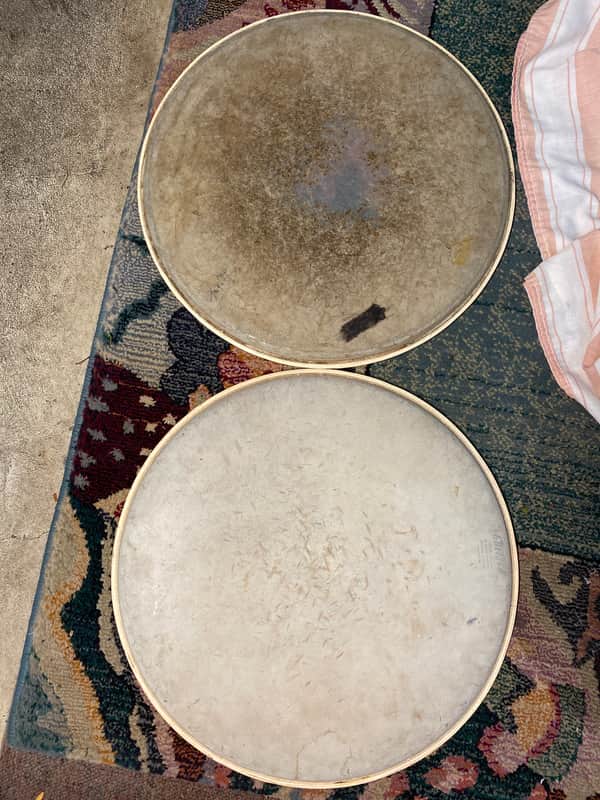Used Vintage Gretsch 14” Permatone Drumheads Mid-60s image 1