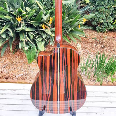 Goodall Concert Jumbo Cutaway - Master Italian Spruce over Macassar Ebony *Nice Upgraded* image 1