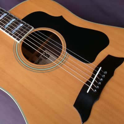 Morris MG-60 1977 Natural - Made in Japan - Solid Spruce Top image 23
