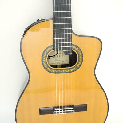 Takamine TH90 Hirade image 4