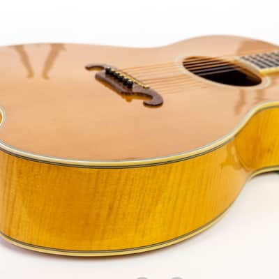 Daion The Year Series '81 Caribou - Tinted Tan (TAN) - Electric Acoustic Six String image 19