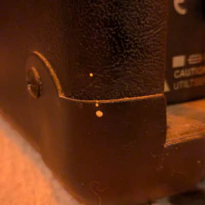 Randall RD5H Diavlo 5 Watt Tube Amp Head image 21