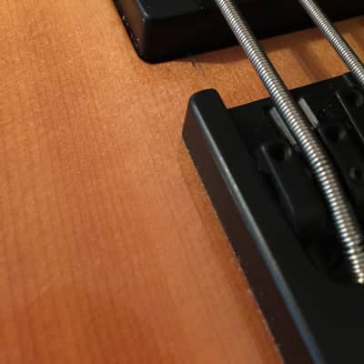 Modulus Quantum 6 Semi-Hollow 2003 Mahogany with Spruce top image 3