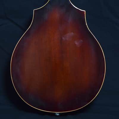 Vega D-100F 1940 electric mandolin image 6