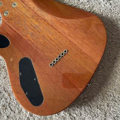 Sakura HSH Electric Guitar, BurlWood Top Body, Mahogany Body, Maple Neck, Rosewood Fingerboard, 22 Frets Rosewood Fingerboard image 11