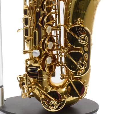 Eastman Model EAS650 'Rue Saint-Georges' Alto Saxophone SN A2440458 RENEWED image 6