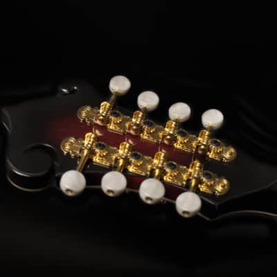 Washburn M3SWETWRK Florentine Mandolin Electric Wine Red w/ Case (B-Stock) image 11
