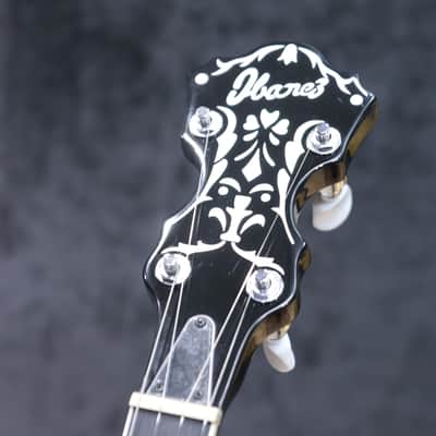 Ibanez B200 Banjo Sapele Body Purpleheart Fretboard 5-String Resonator Banjo image 18