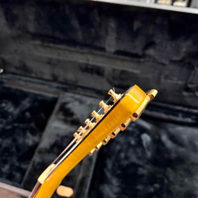 Hamer USA Korina Standard & Vector 1995/1997 image 7