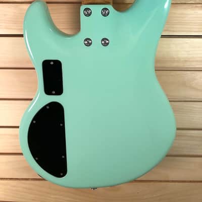Alien Audio Constellation Bass, Surf Green, with Road Case image 10