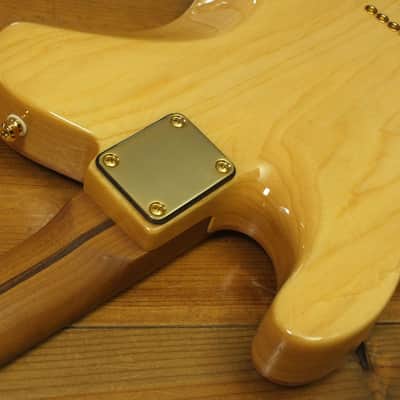 Suhr Custom T Flamed Maple Andre Nieri Inspired 2019 image 21