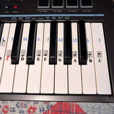 Nektar Impact LX25+ USB MIDI Keyboard Controller 2016 - 2021 - Black with box and software image 5