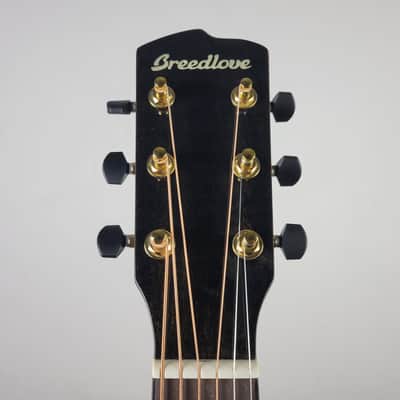 Breedlove Performer Pro Parlor Concertina E - Tobacco Burst With OHSC Free Shipping image 3