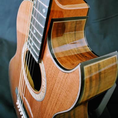 Cam Guitars Grand Concert- Tunnel Redwood- Oregon Walnut image 8