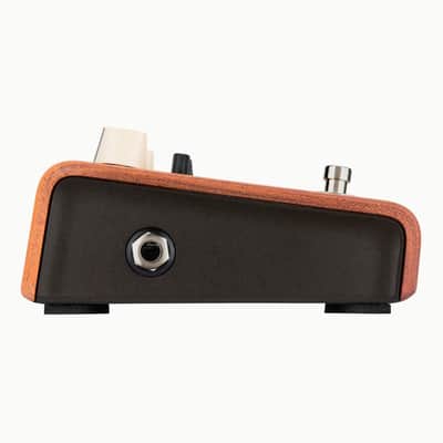 LR Baggs Align Series Equalizer Acoustic Pedal image 5