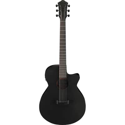 Ibanez AEG621 Auditorium Acoustic-Electric Guitar - Regular Black Out image 3
