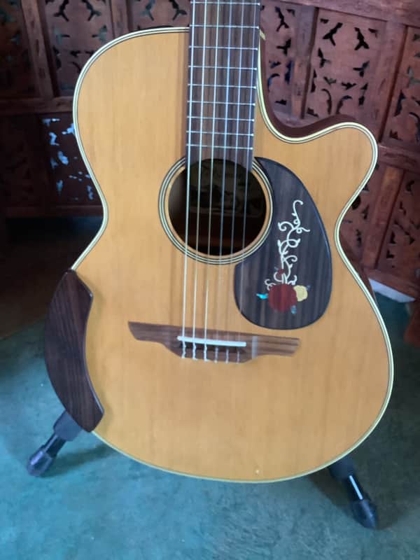 Takamine EAN 60c