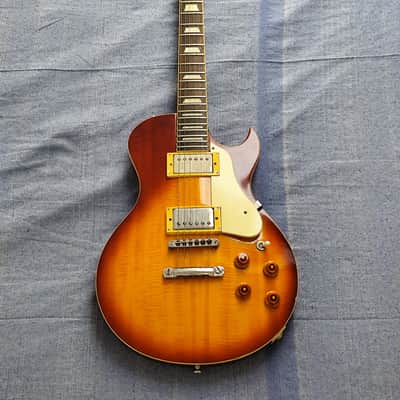 Washburn WP-50 1990 image 15