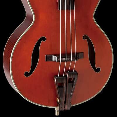Takamine DB10 Acoustic Electric Bass Guitar-Red Stain image 1