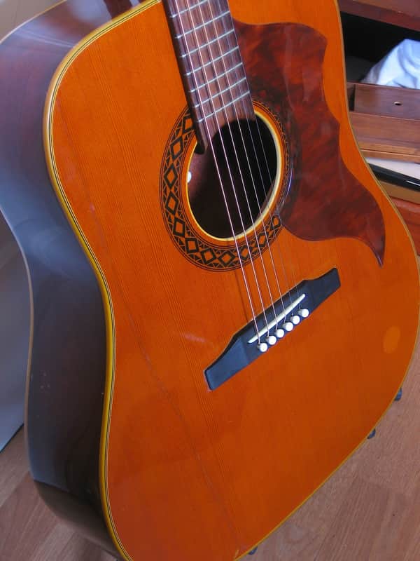 1960's EKO Ranger VI Acoustic Guitar, Excellent, w/Hardshell Case image 1