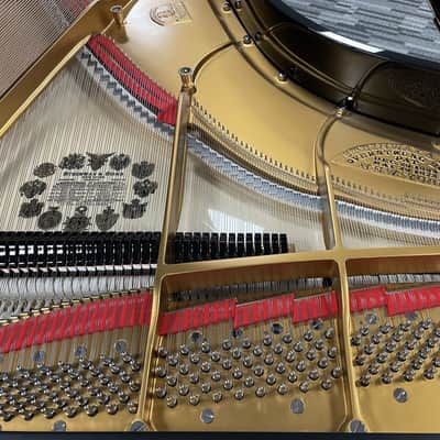 Steinway Model O 5'10" Grand Piano 1901 (Restored) - Polished Ebony image 14