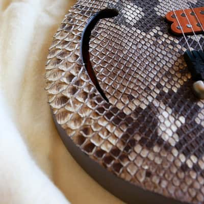 Build to Order GB Liuteria Boutique  Plié 6 string python edition for GIANLUCA GRIGNANI image 25