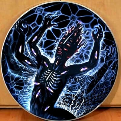Tool, PAIR of The Great Turning 22" Bass Drumheads, Danny Carey image 4