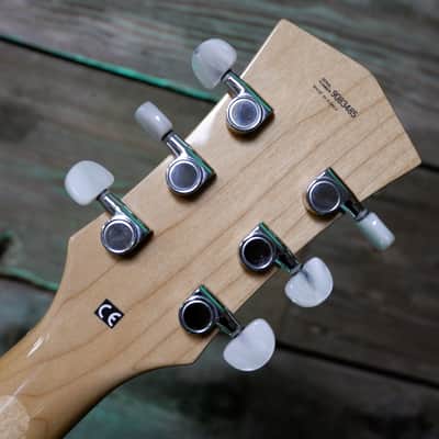 Cort BECK-6 Joe Beck Signature w/ Charlie Christian style Pickups early 2000's - Natural w/ Hard Case image 19