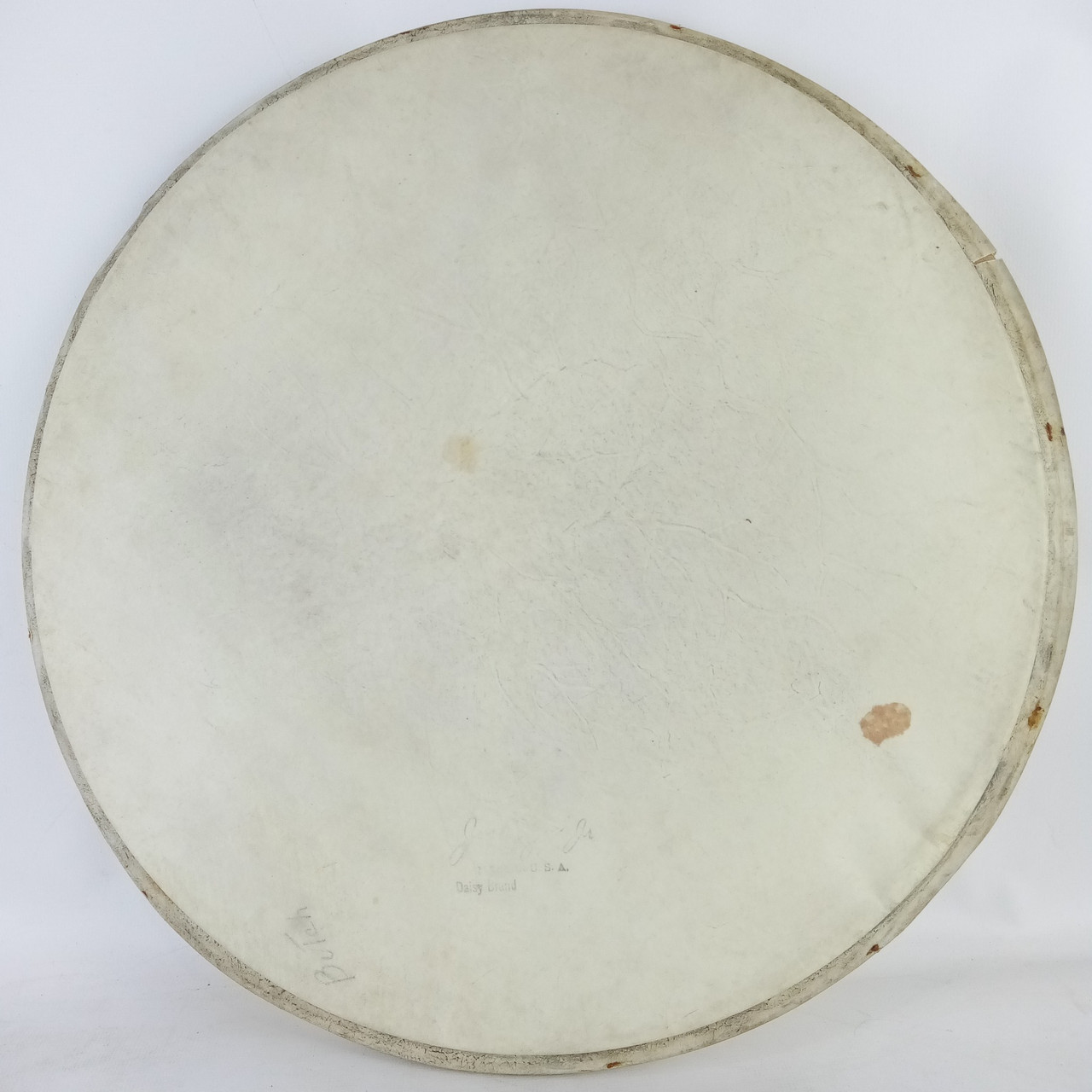 Joseph Rogers Jr Daisy Brand 14" Resonant Calf Skin Drum Head Vintage Cleveland — main photograph