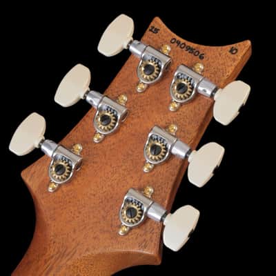 Paul Reed Smith (PRS) 2025 McCarty 10Top Aurora Borealis Pattern Neck [25-0409506] (01/12) image 13