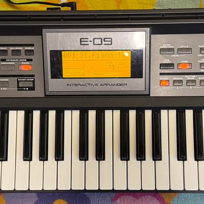 Roland E-09 61-Key Interactive Arranger 2005 - Present - Black