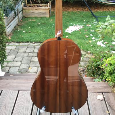 Zager Acoustic-Electric "Parlor" (Truly a 12-Fret 00-000 Size) 2020 Mahogany image 5