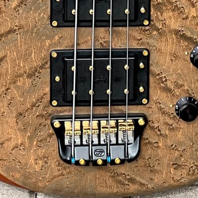 Wal Mk. I Fretless Bass 1986 - crazy cool Acid Stained Birdseye Maple w/a Lined Fingerboard. image 10