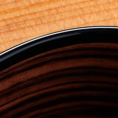 Taylor 214ce Plus Grand Auditorium Acoustic/Electric Guitar with Aerocase image 11
