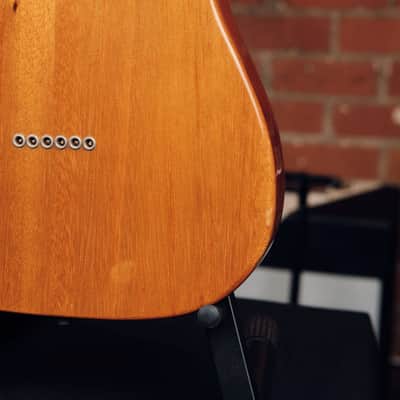 1971 Fender Telecaster Thinline - Mahogany Body! image 14