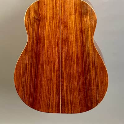 Goodall RS Sitka & Rosewood Standard 1981 image 19