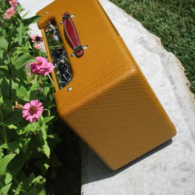 Carl's Custom Amps Classic Reverb Unit Dark Lacquer image 8
