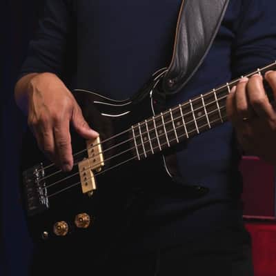 Washburn SB4B Wing Series Scavenger Ashwood Body 4-String Electric Bass Guitar image 11