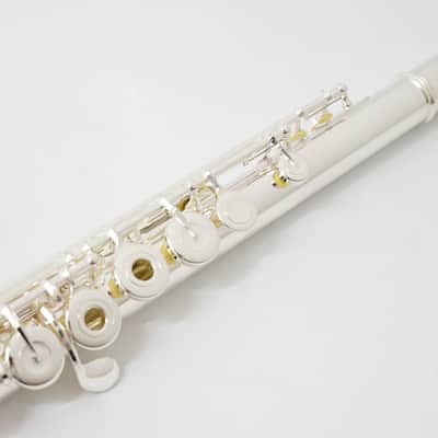 Muramatsu EX-III RCE image 4
