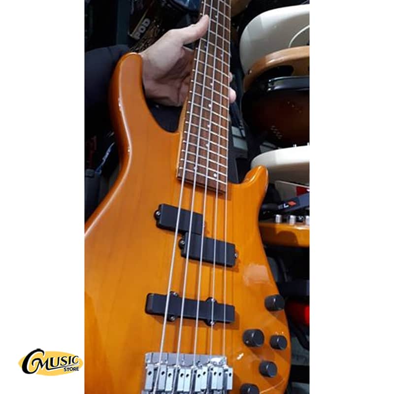 Fender Dimension Bass V 5-String Bass Guitar (Mexican) | Reverb