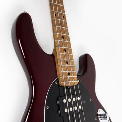 Ernie Ball Music Man StingRay 4 HH Special, Translucent Oxblood / Roasted Maple *ON ORDER ETA  April 2026 image 6
