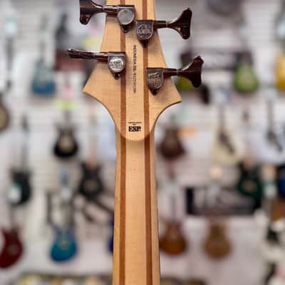ESP LTD B-204SM Fretless Bass Guitar - Natural Satin image 12