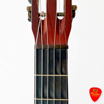 1930s Supertone No. 13411 “Palm Beach” Hawaiian Stencil Guitar – “Palmer” image 6