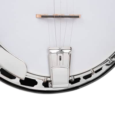 Gold Tone BG-150F: Bluegrass Banjo with Flange and Bag image 14