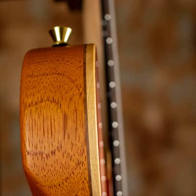 Ruokangas Guitars Aeon Artist Honeyburst image 9