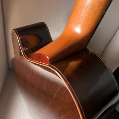 Paul McGill Super Ace Nylon Classical Cutaway Brazilian Rosewood BAM Case image 10