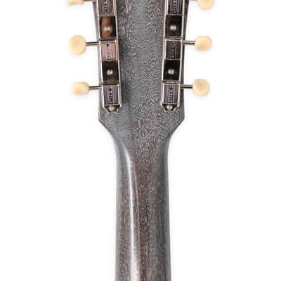 Lockhorn Instruments Zipper, Doghair / Silver. New (Authorized Dealer) image 10